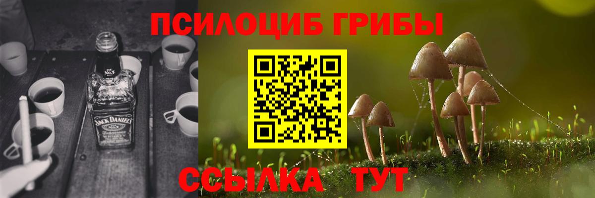 Подольск  наркотики  Вход с VPN  Галлюциногенные грибы мицелий 